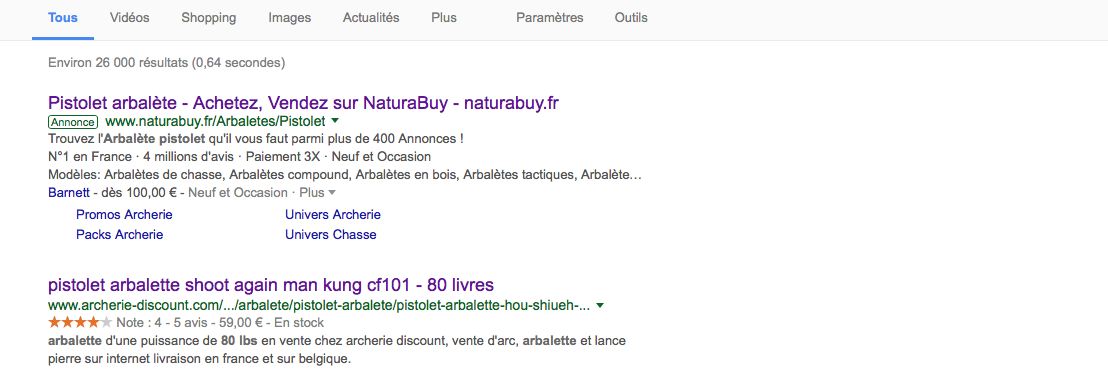 Resultat du rich snippets avec un site cre e par ananaweb