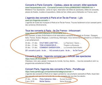 Rich snippets sur les site ananaweb